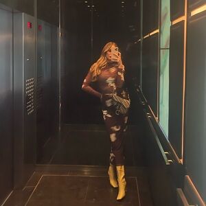 Zara Sheer Mesh Top and matching skirt